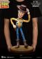 Mobile Preview: TOY STORY WOODY MASTER CRAFT